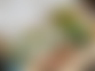 ORDERING TAKEAWAY? YOU MIGHT WANT TO CHECK THE FOOD STANDARD RATING. | HILLINGDON BUSINESSES RECIEVE NEW RATINGS, NOT ALL OF THEM GOOD