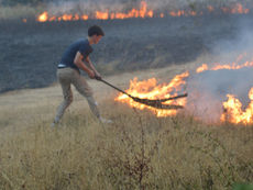 Firefighters and residents work together to tackle huge Harefield Nature reserve blaze