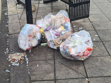 DISGUSTING! Hillingdon - a council of filth.