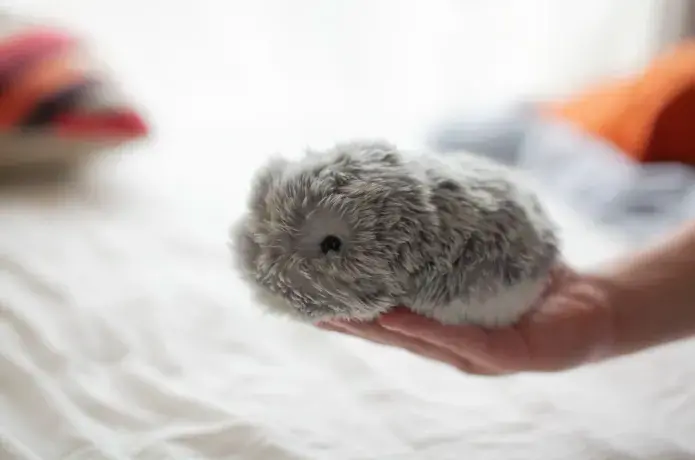 Moflin Emotional AI Pet Toy from the Future