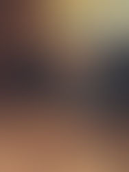 Arflex dévoile sa nouvelle collection 2025 dans un écrin d’élégance