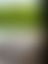 Invitation | Roda/ Missoni @ Milano Design Week 2025