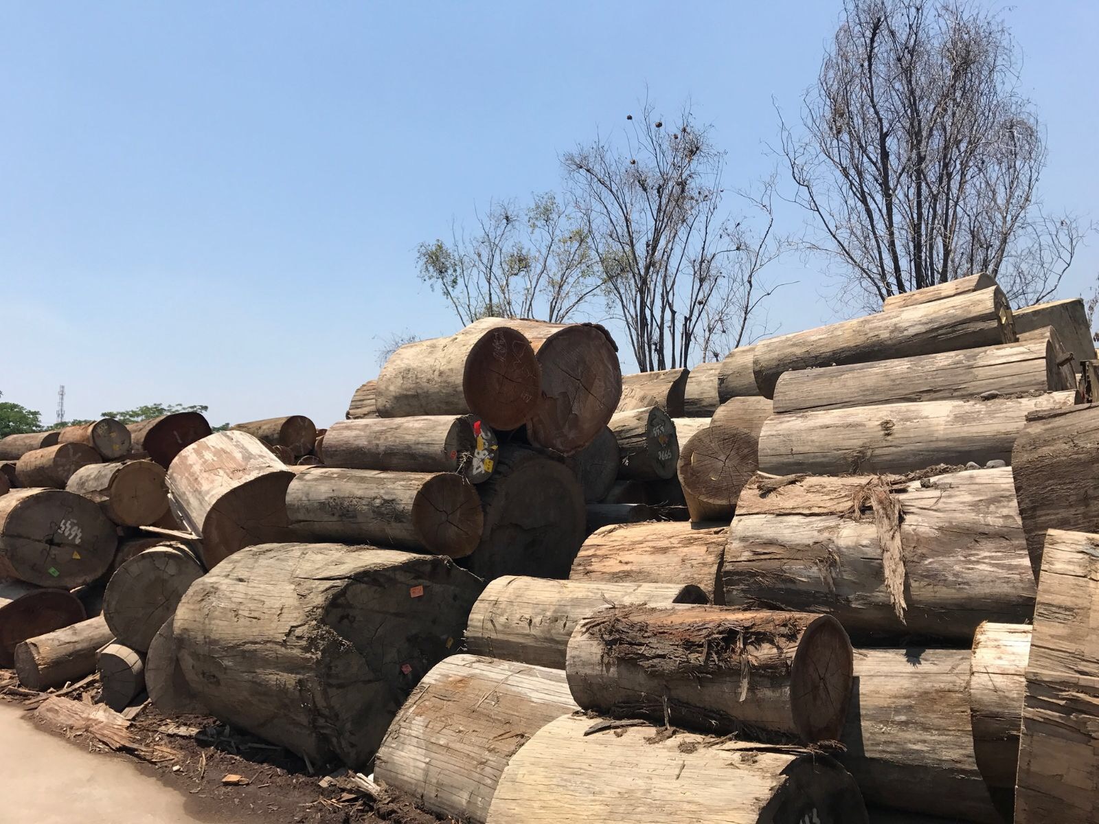 Sourcing for Raw Materials