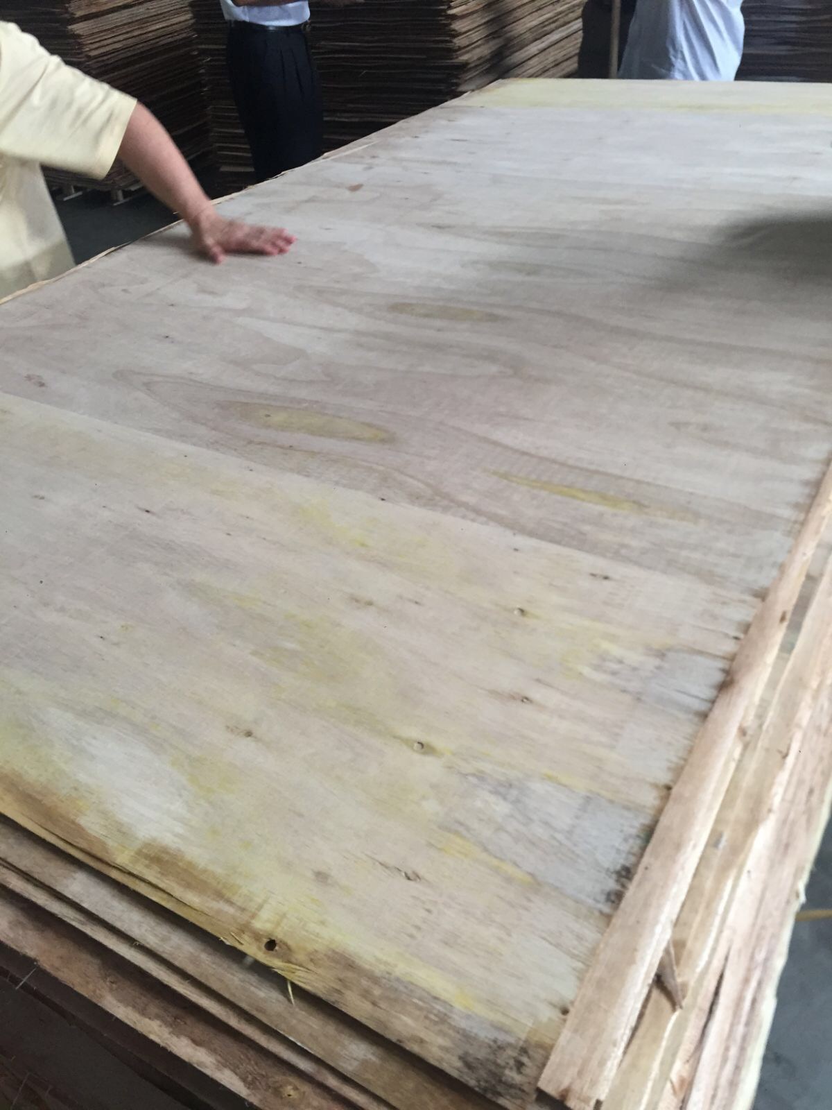 Plywood Quality Inspection