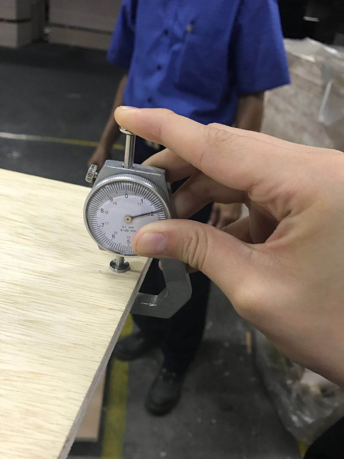 Plywood Inspection