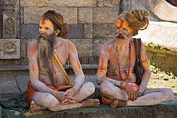 Sadhu