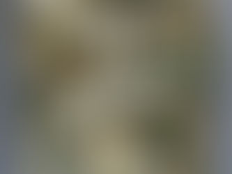 Goddess Siddhidaatri