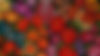 c2c8e036c5dcc33e79d22dcabb745ec9.jpg