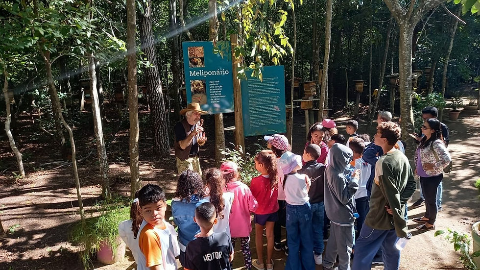 Visita guiada de público diverso a Meliponário