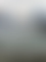 How to Establish an Asia Footprint Without Fixed Costs: A Guide for US and European Businesses