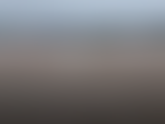 ਖੁੱਲ੍ਹੇ ਗੇਟ, ਵਧਿਆ ਸਤਲੁਜ ਦਾ ਪਾਣੀ, ਦੇਖੋ ਤਬਾਹੀ ਦਾ ਮੰਜ਼ਰ