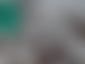 เจฌเจพเจฐเจกเจฐ เจธเฉเจฒ...เจฆเจฟเฉฑเจฒเฉ เจฆเฉเจเจ เจเจ เจธเฉเจเจพเจ เจฌเฉฐเจฆ, เจฌเฉฑเจธเจพเจ เจฆเฉ เจฐเฉเจ เจฌเจฆเจฒเฉ; เจชเฉเฉเจนเฉ เจเจฃเจคเฉฐเจคเจฐ เจฆเจฟเจตเจธ 'เจคเฉ เจเฉเจฐเฉเจซเจฟเจ เจเจกเจตเจพเจเจเจผเจฐเฉ