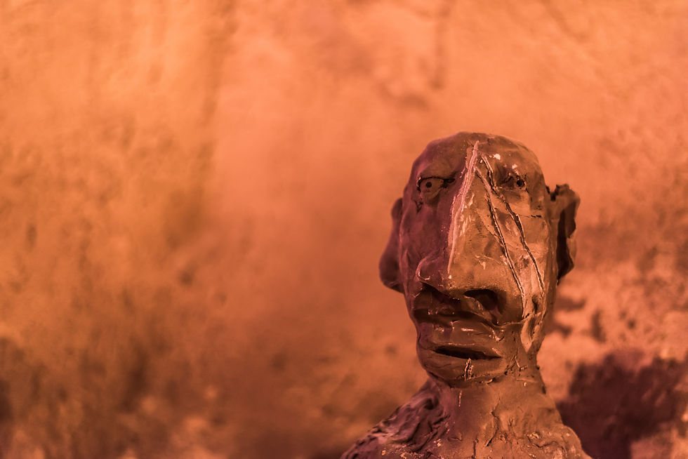 Secret Cinema Installation