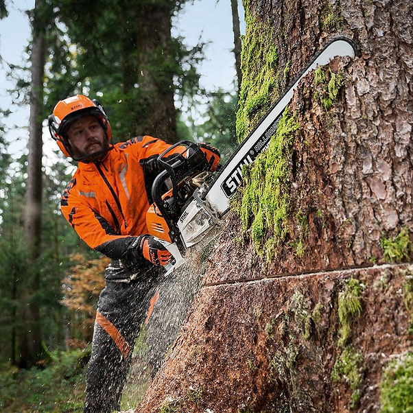 Vendita motoseghe stihl Roma.png