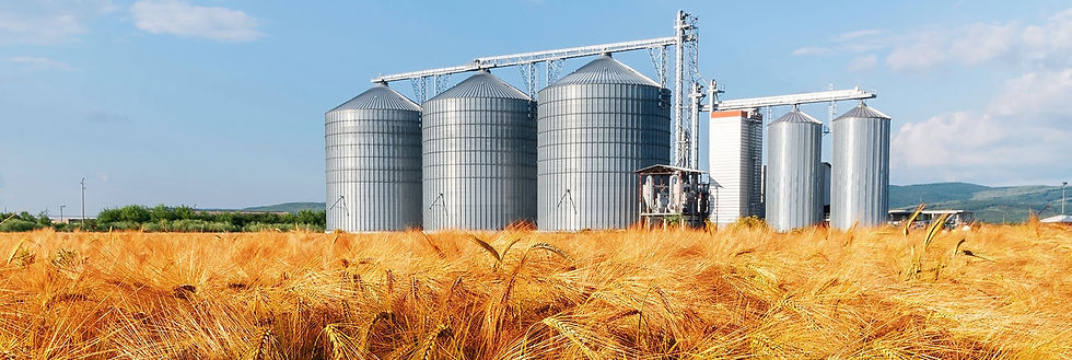 dust-ignition-grain-handling-copy.jpg