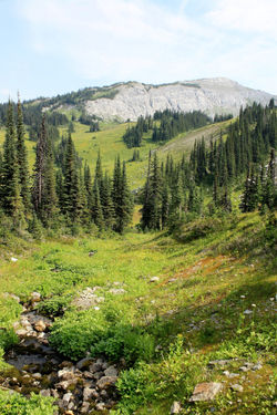 DM_nature_landscape_fangmountain_6729