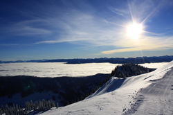 DM_nature_winter_kootenays_1828