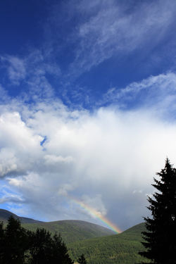 DM_nature_landscape_nelson_9111