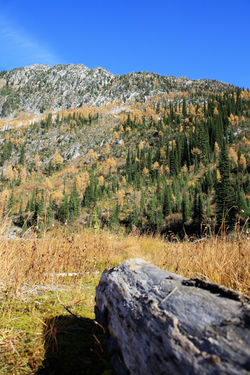 DM_nature_landscape_plaidlake_0457