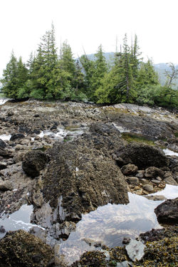 DM_nature_landscape_oceanwater_haidagwai