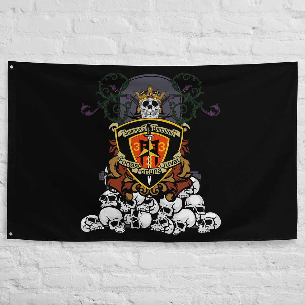 3rd Battalion 3rd Marines No Kings But Us Flag