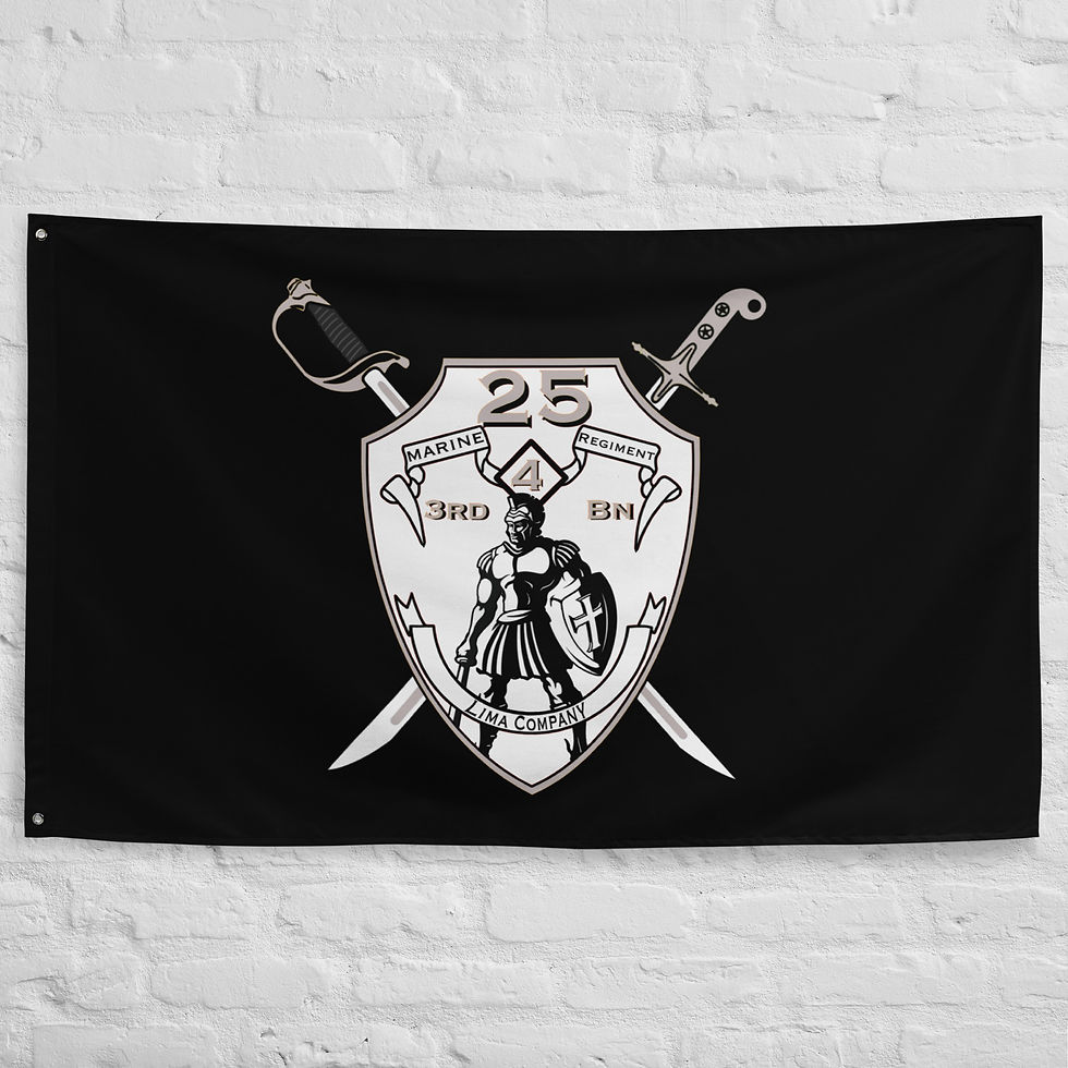 3rd Battalion 25th Marines Lima Flag