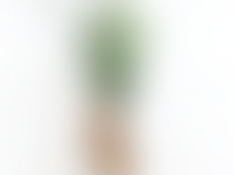 Acupuncture for Hormone Balance and Anxiety During the Holiday Season