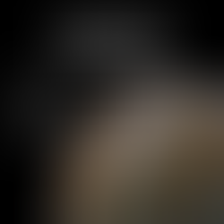 Jupiter & the Galilean Moons