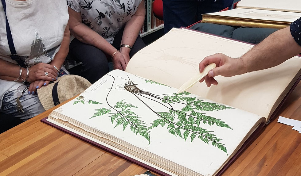 Miguel Garcia showing some of the rare, fragile books