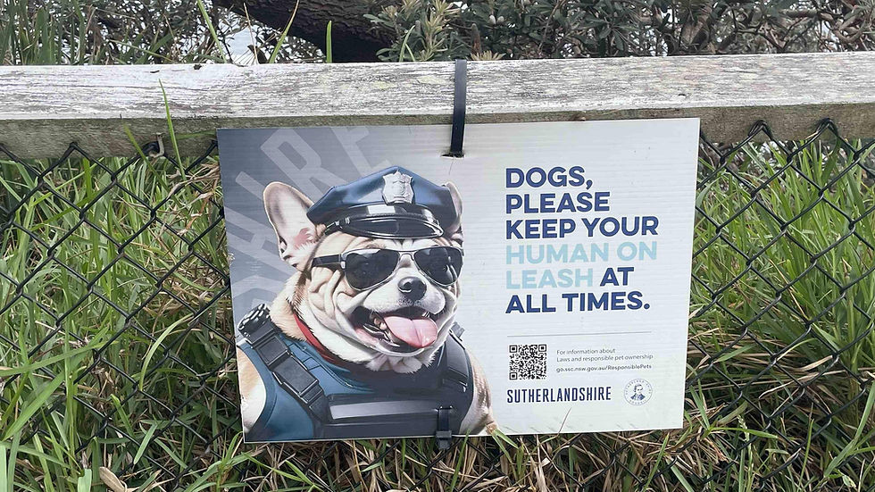 Humans, behave yourself!