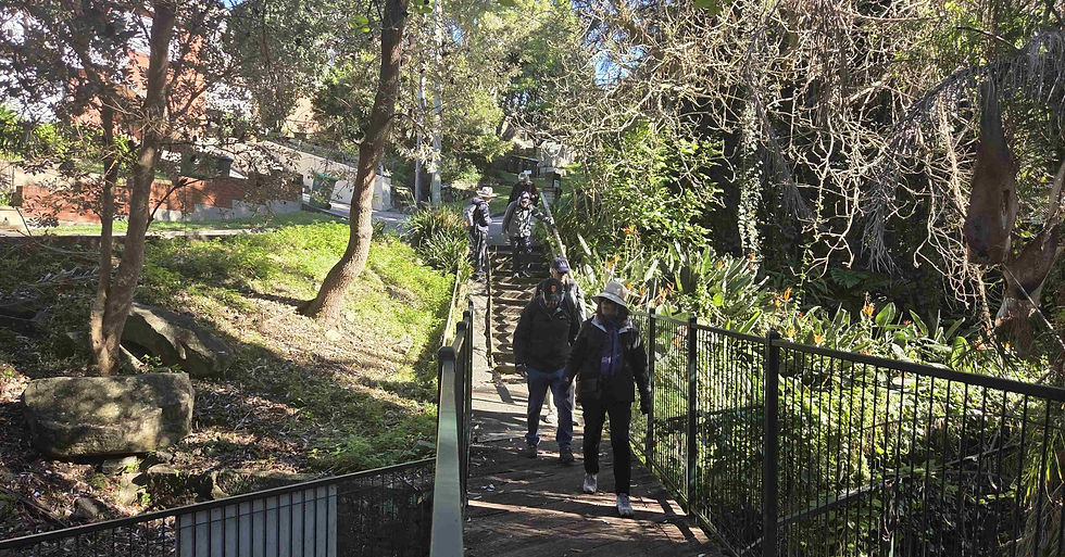 The adventurers on the boardwalk into Tarban Creek Reserve