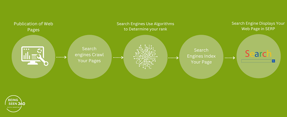 Green diagram of how SEO works