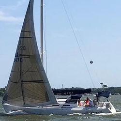 Sailing Cruise