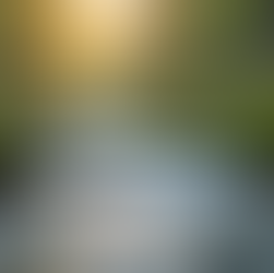 The Importance of Mindfulness in Daily Life