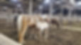 20201030_222434.jpg