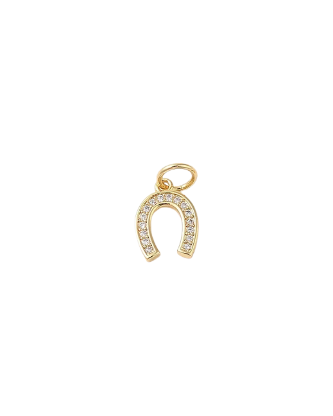 horseshoe charm