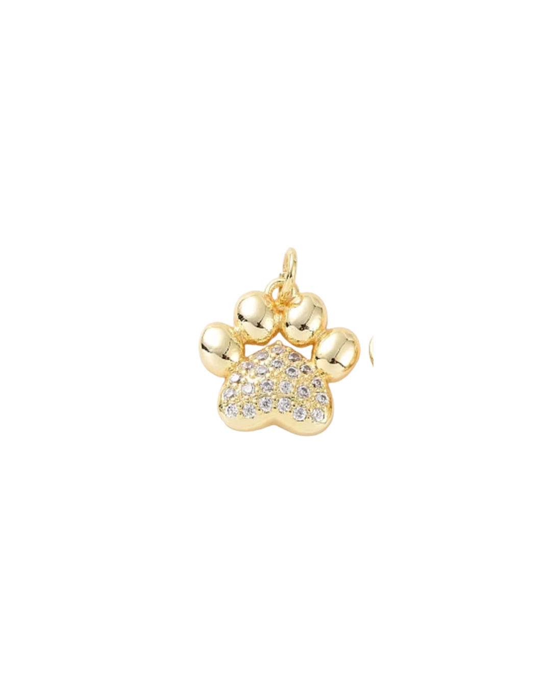 bubble paw charm