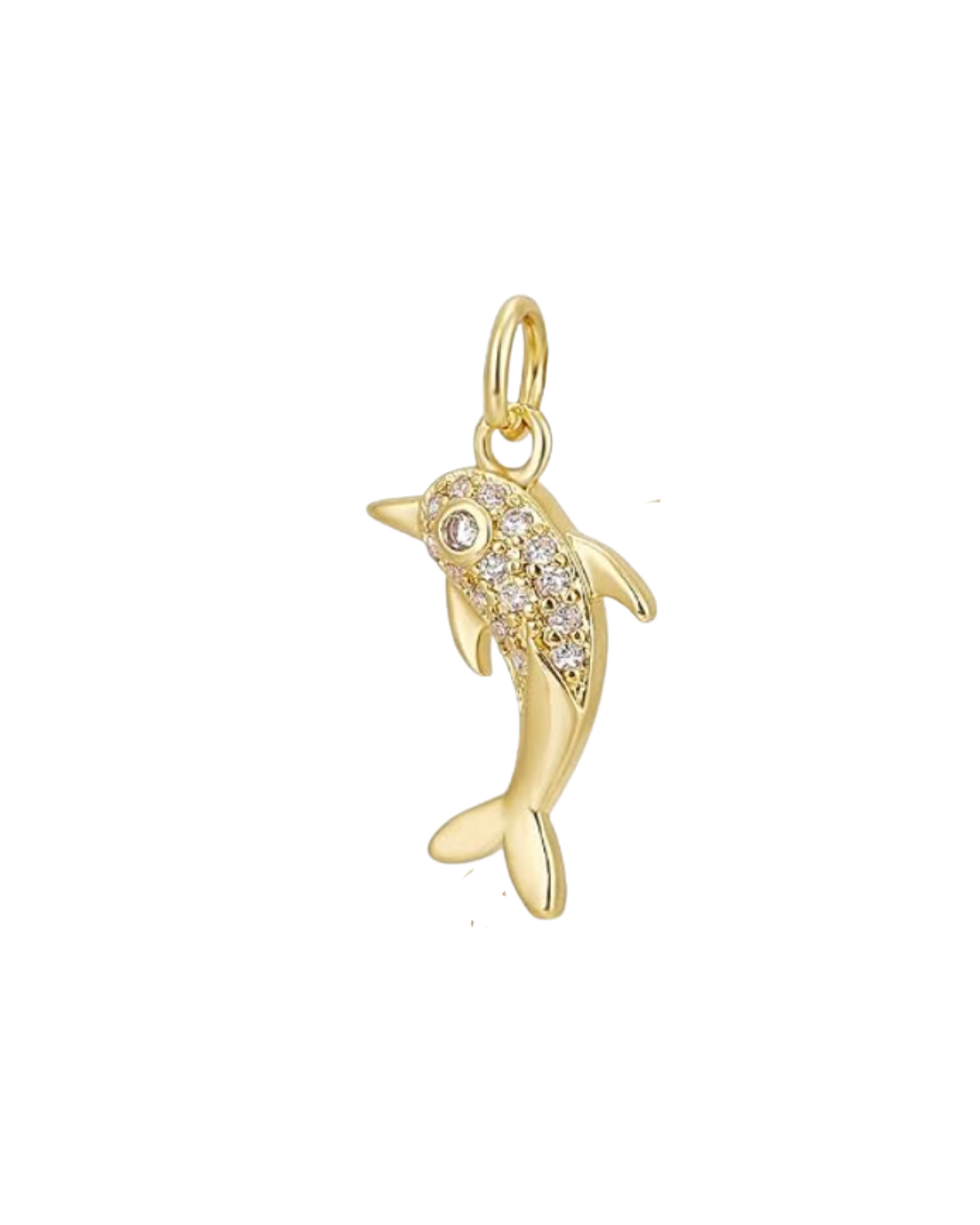 dolphin charm