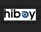 Hiboy Logo