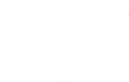 arts 2.png