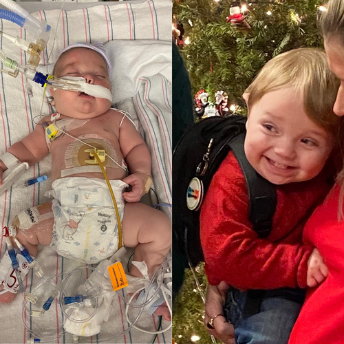 George” the CHIbra | Elizabeth and Comp