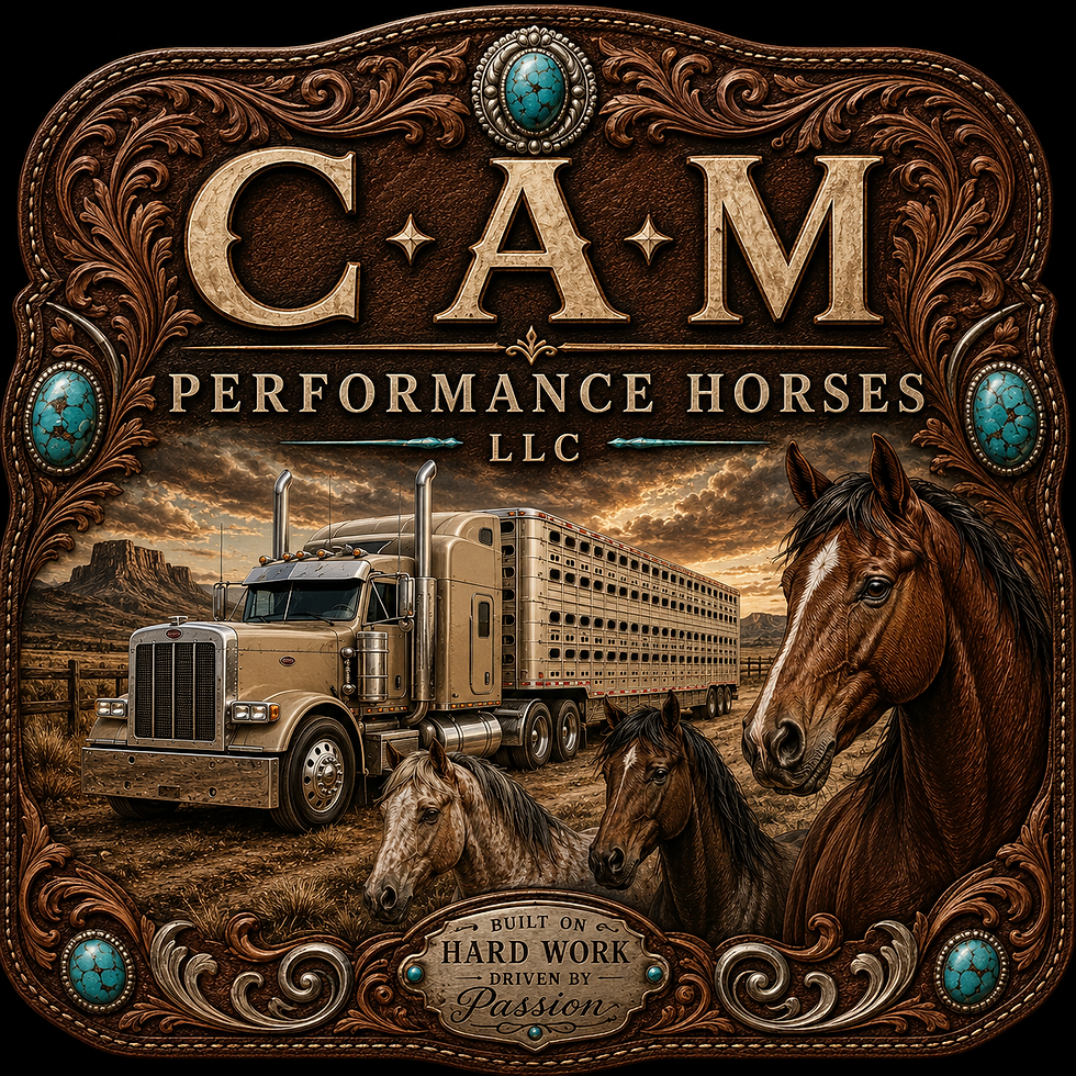 C-A-M Performance Horses L.L.C