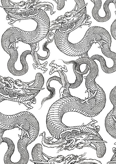 Dragon Background.jpg