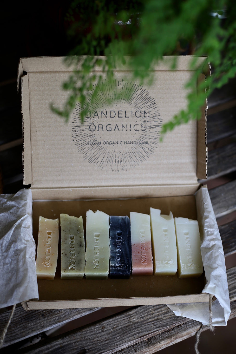 Organic Soap Sample Box