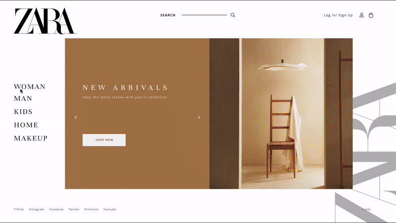 zara website design.gif