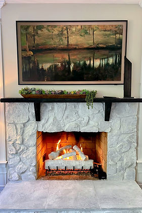 birch-logs-gas-fireplace_edited.jpg