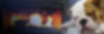 Amazing-Flame-best-gas-fireplacce-logs-service-nova_edited.jpg