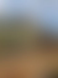 Jobsite showing unfinished townhomes with yellow wrap and exposed wood. Blue sky and orange-brown dirt