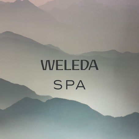 Weleda Spa Logo im Store in Düsseldorf, Schrift auf natürlichen Hintergrund in grau-blauen Farben