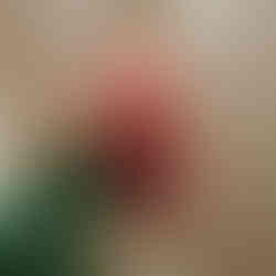 Kaltgepresster Saft mit Rote Beete